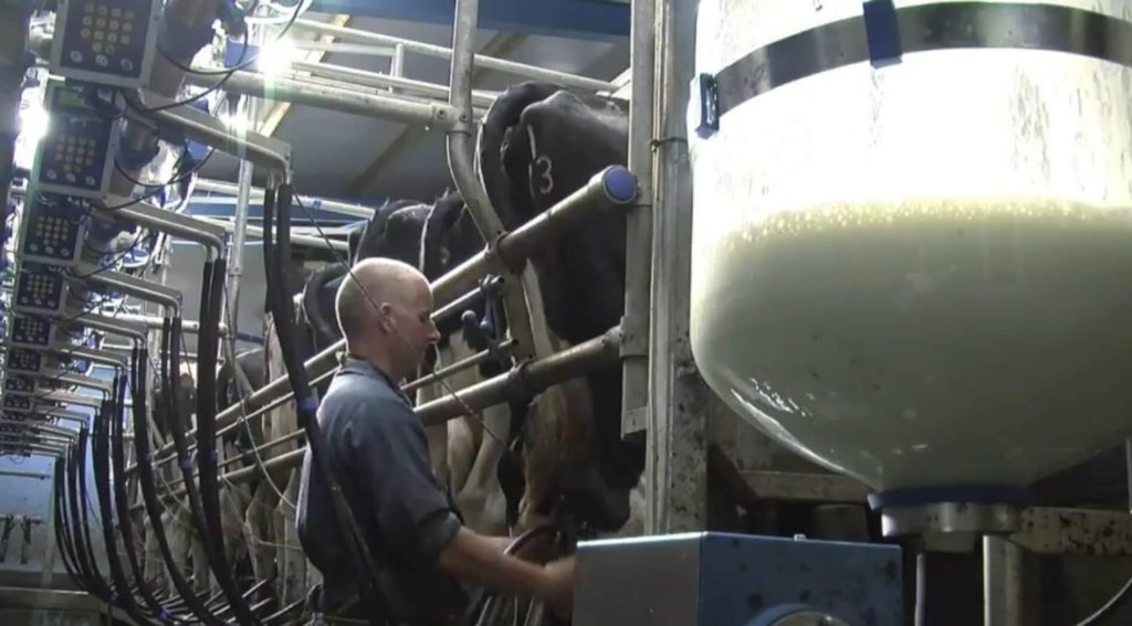 Belgische boer demonstreert ambachtelijk ijs maken met melk van de boerderij voor Ice Delite